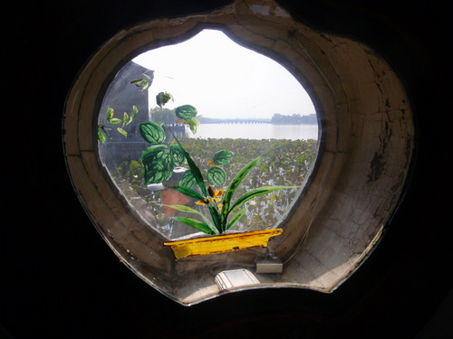 View of lake and lotus flowers.